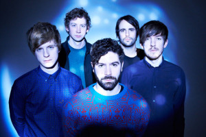 foals